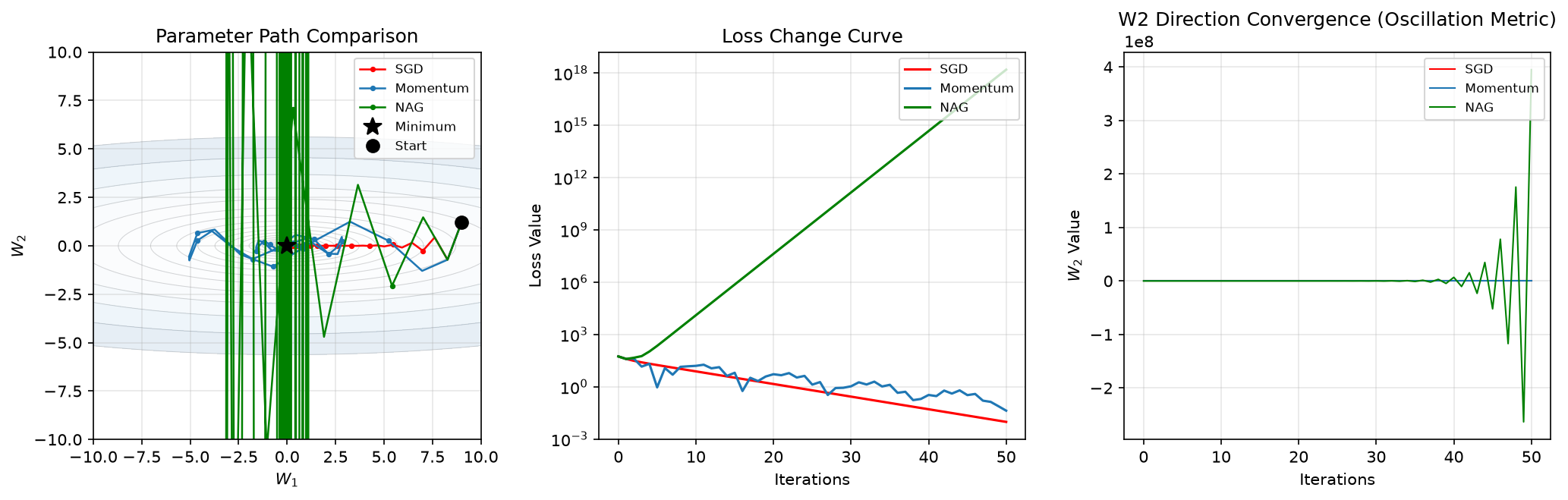 Convergence comparison of SGD, momentum, and NAG