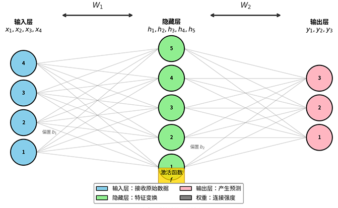 多层感知机结构示意图